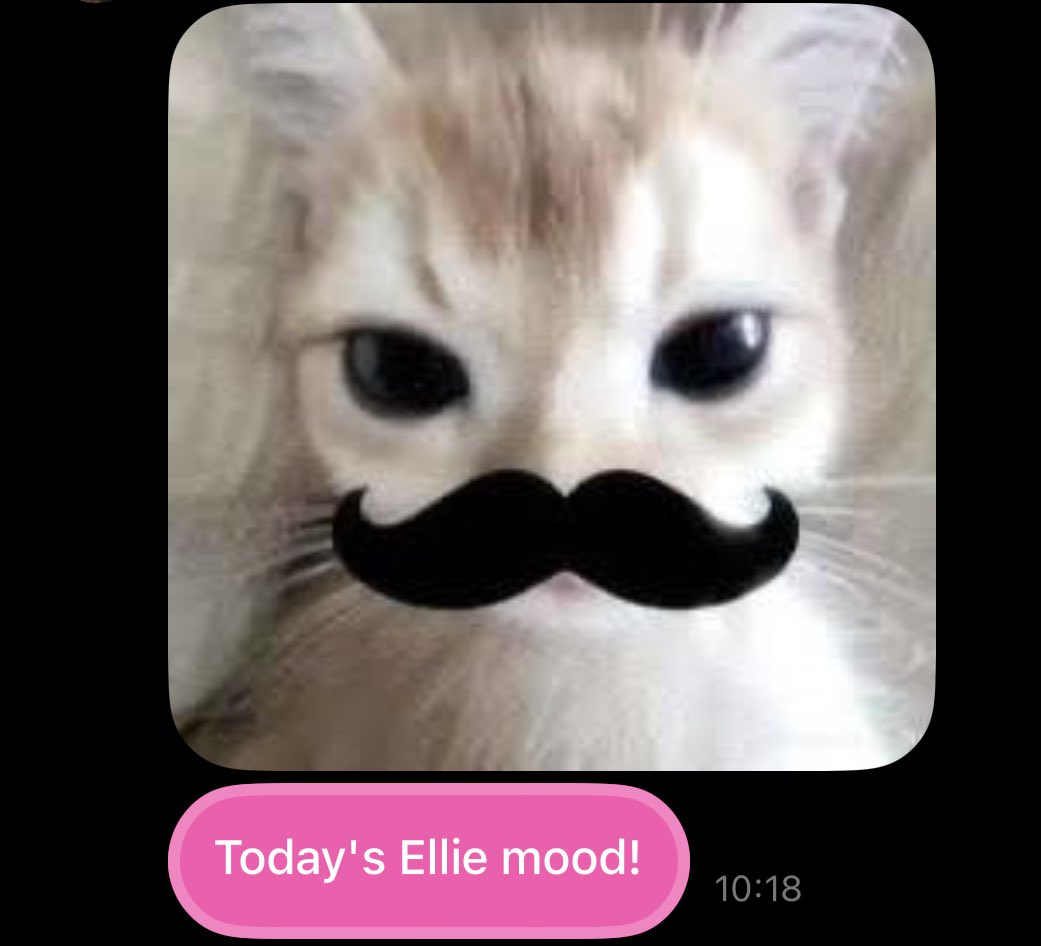 Ellieu 🐰🐥_MWAH tweet media