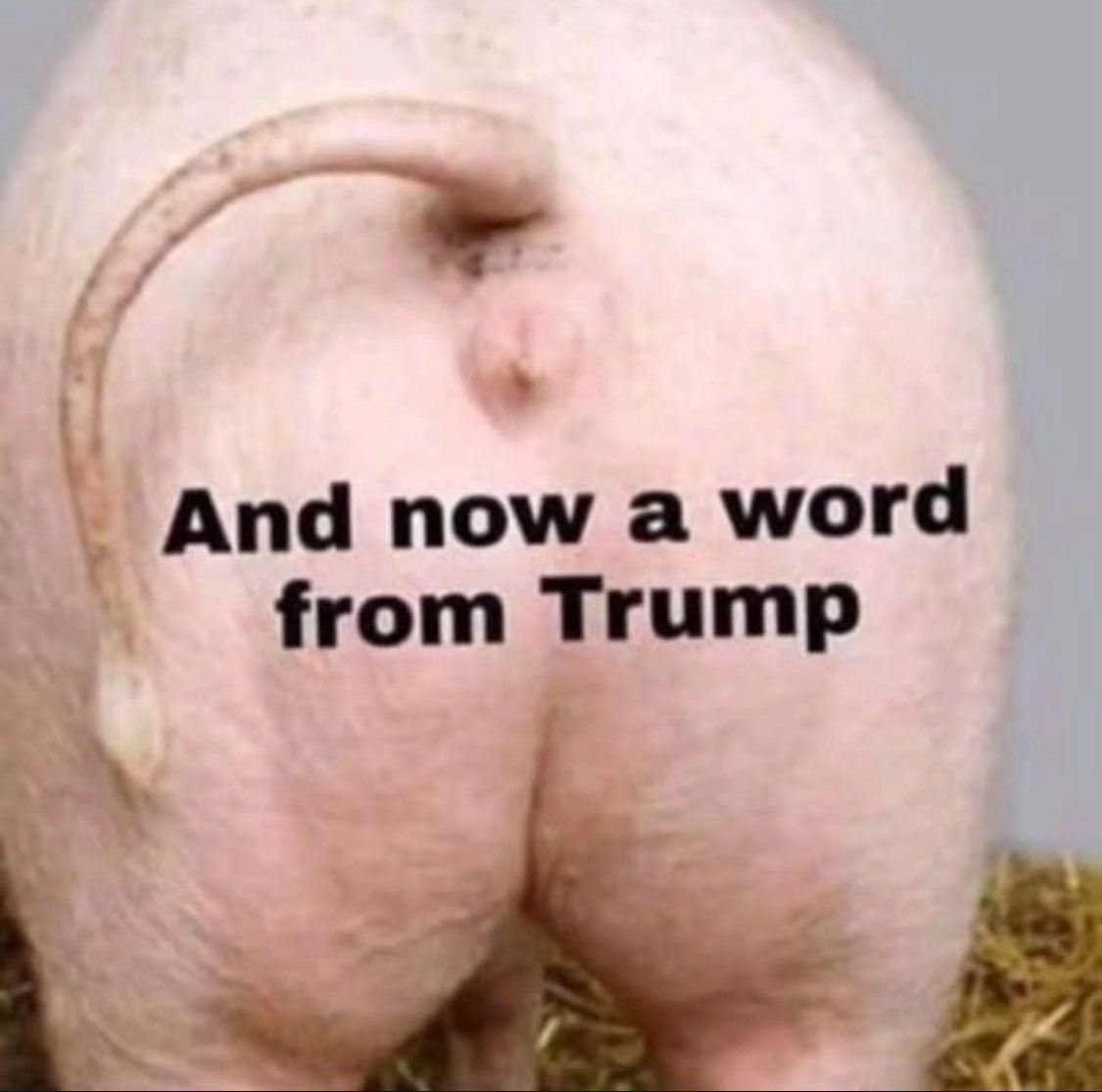 Western Patriot tweet media