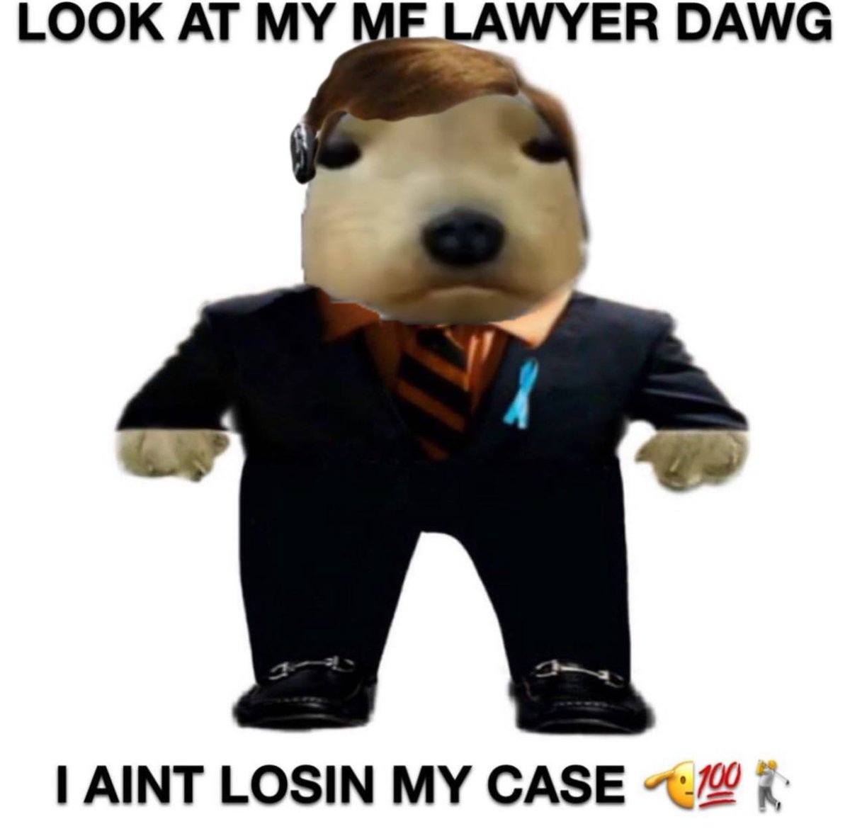 Extractor 🦆 911 tweet media