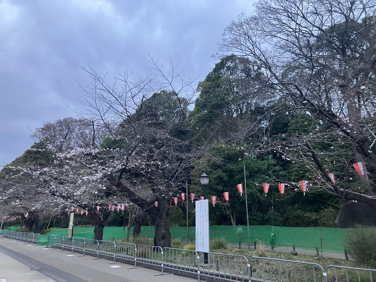 スカイツリー tweet media