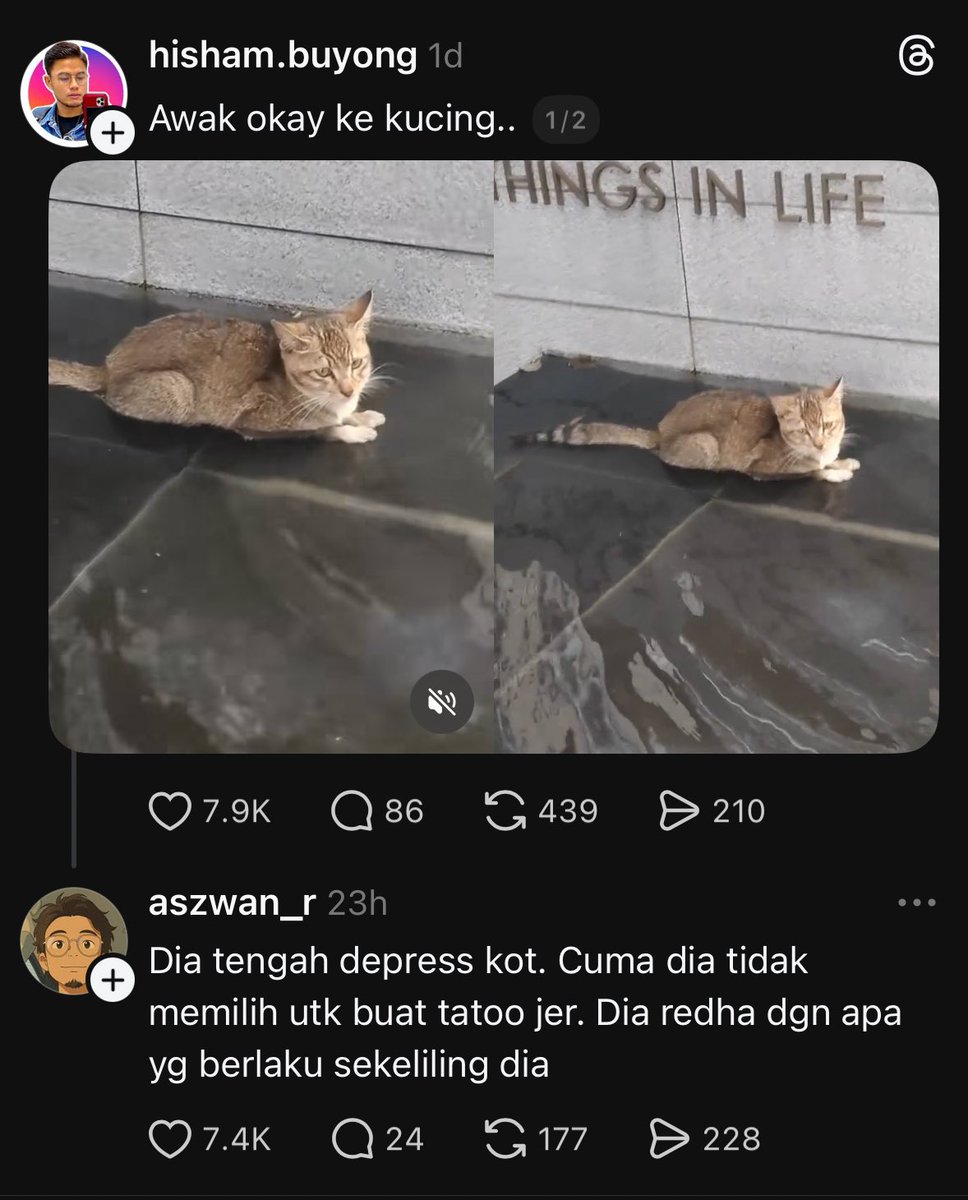 kamaghul deghaman tweet media