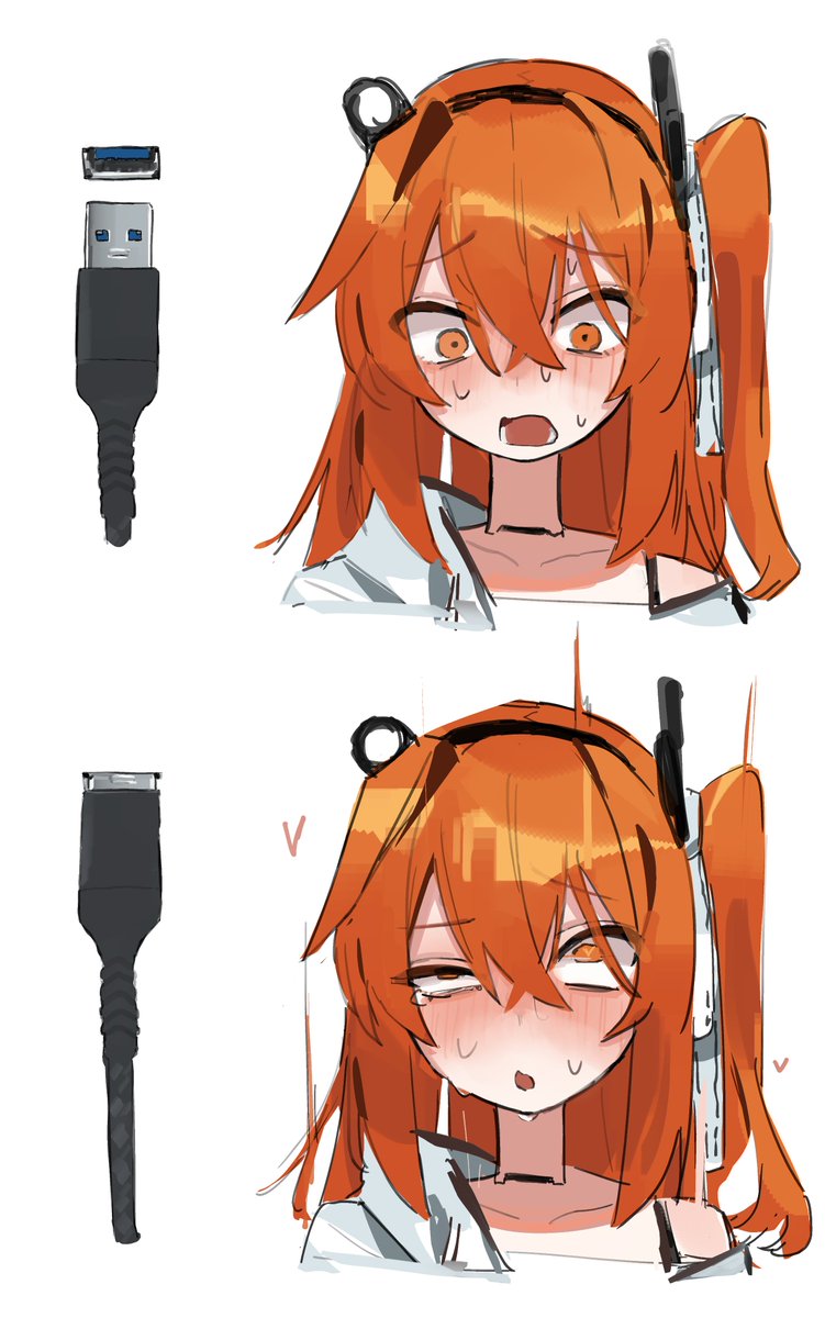 うらのす海老 tweet media