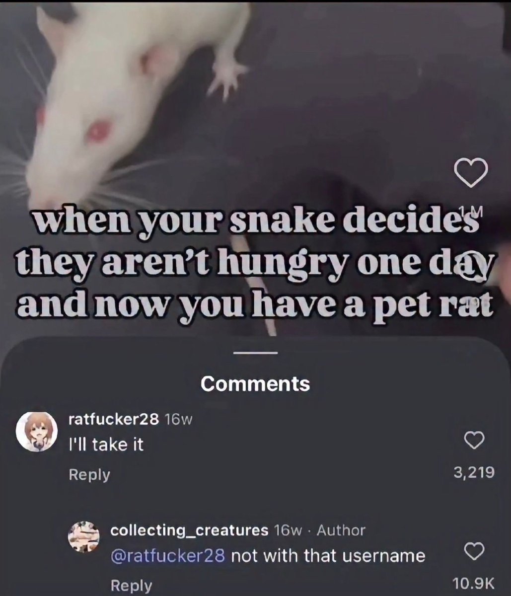 no context memes tweet media