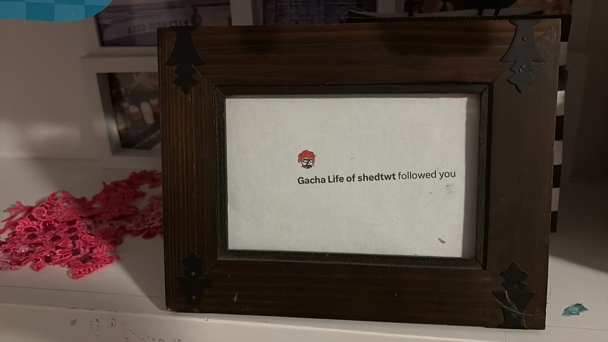 funnybunny lover of shedtwt tweet media