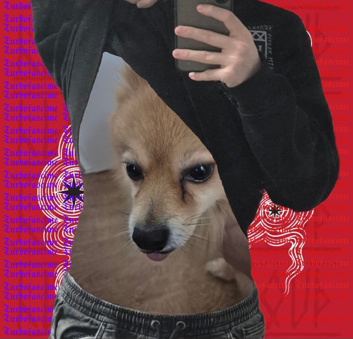 Wotanicᚲᛁᛏᛏᛖᚾ 🇦🇹🇪🇺🇺🇦 tweet media