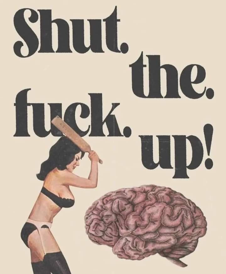 🌬 Catalina tweet media