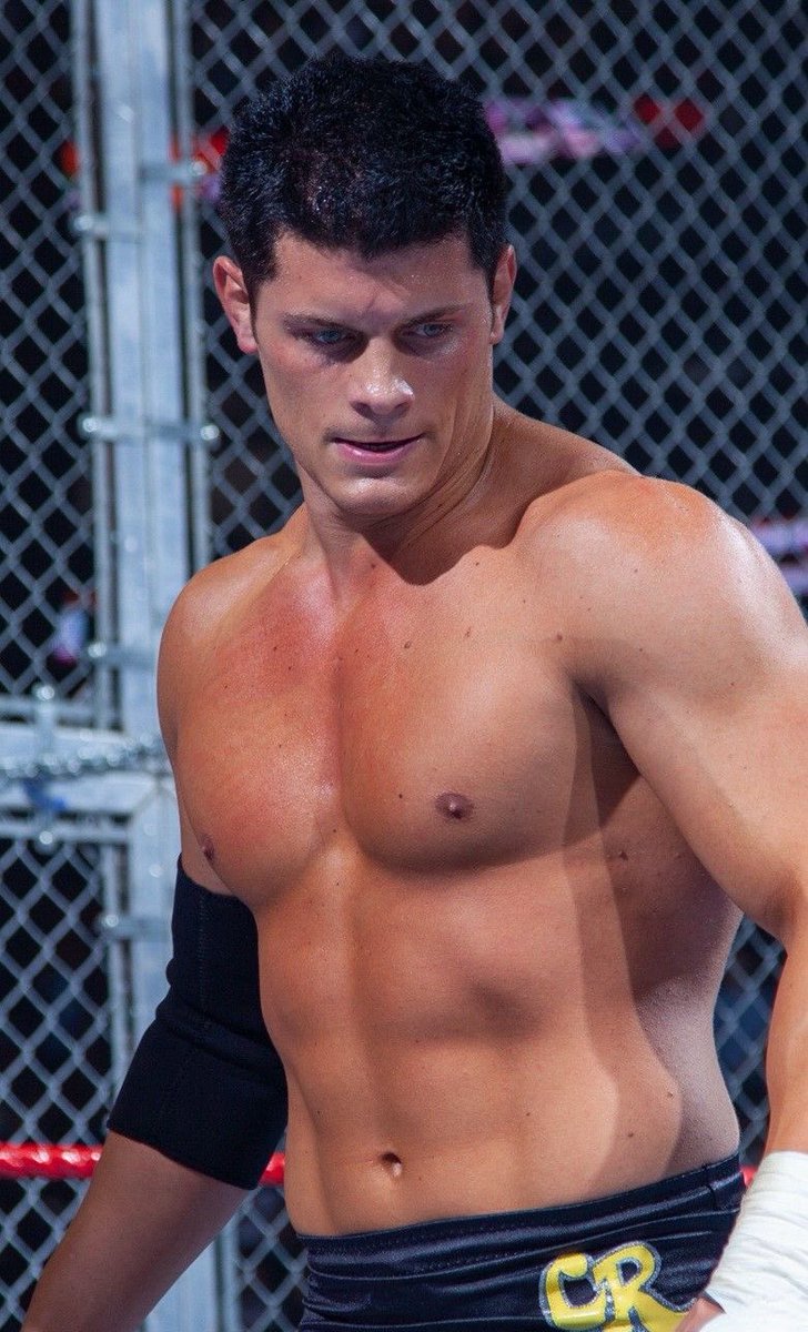 ·:*¨༺ ♱✮♱ ༻¨*:· tweet media