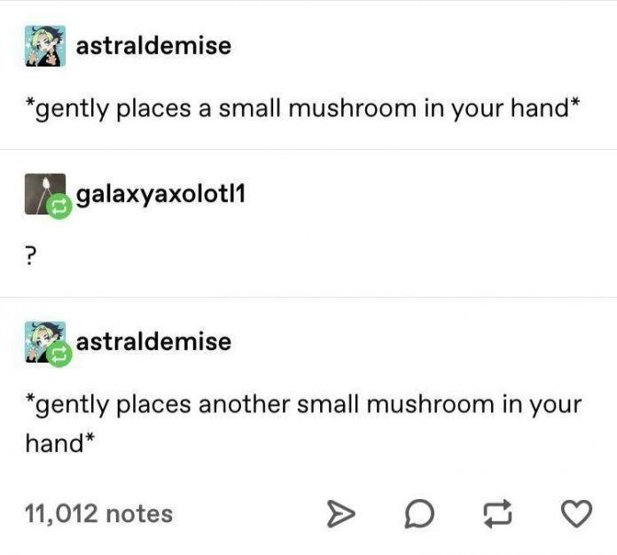 𝖈𝖍𝖆𝖇𝖆𝖟𝖎𝖙𝖊 tweet media