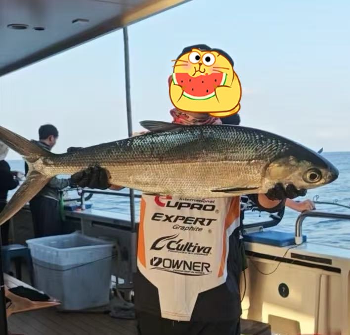 GemFactory tweet media