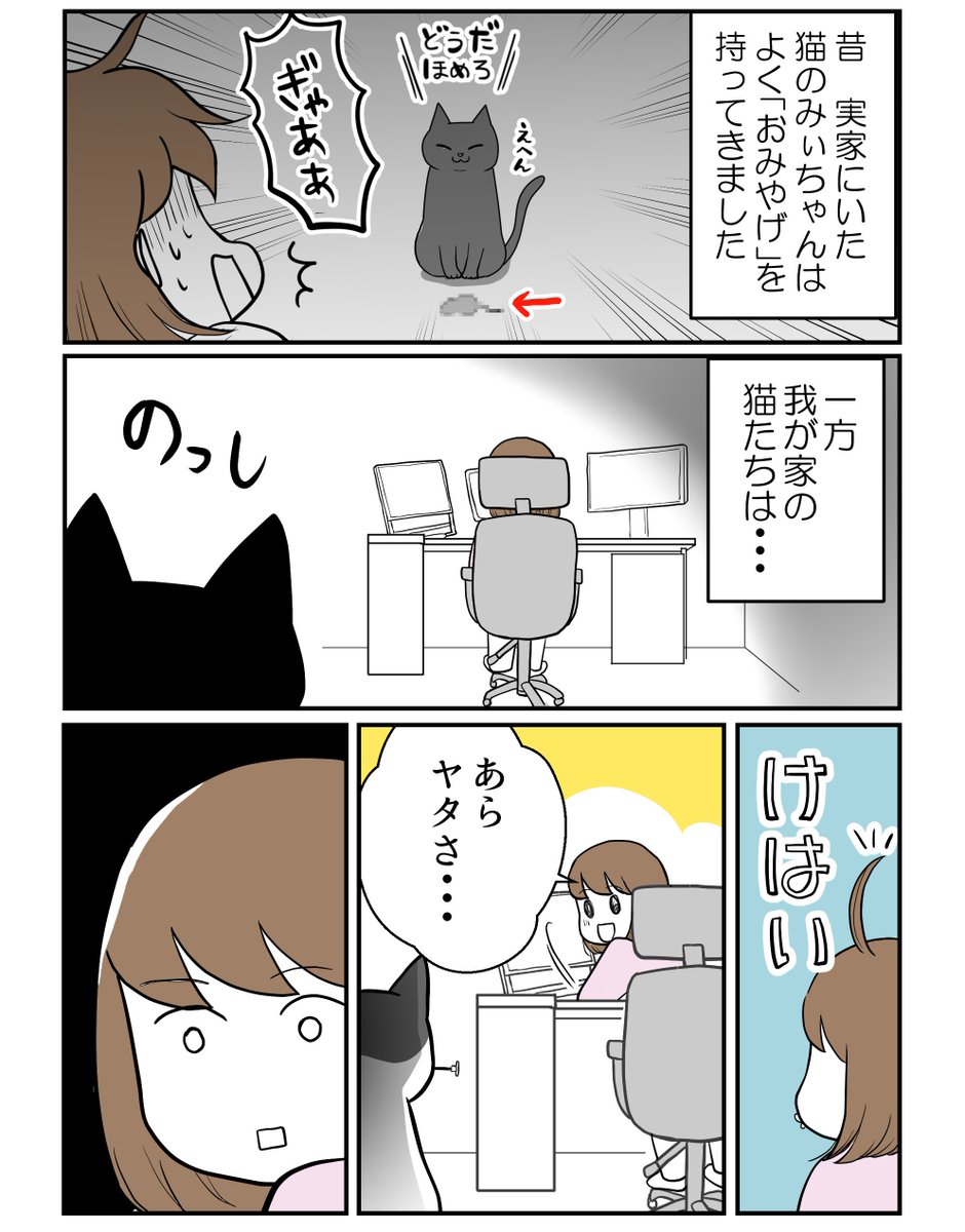 猫の「おみやげ」は謎(1/2) 