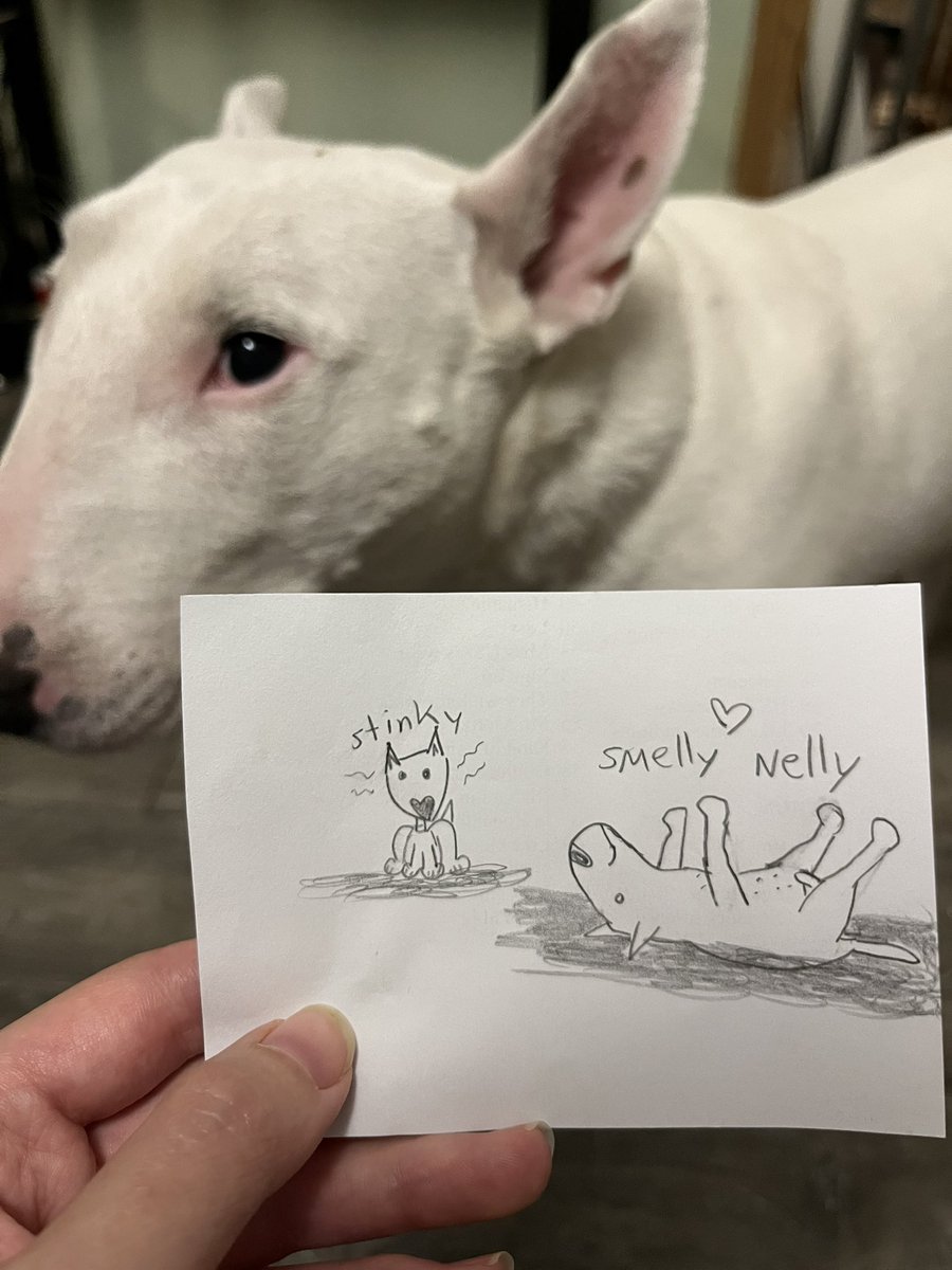 🐶 NELSON tweet media