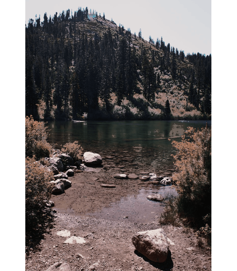 𝐇𝐀𝐖𝐊𝐈𝐍𝐒 𝐇𝐈𝐆𝐇 𝐒𝐂𝐇𝐎𝐎𝐋. tweet media