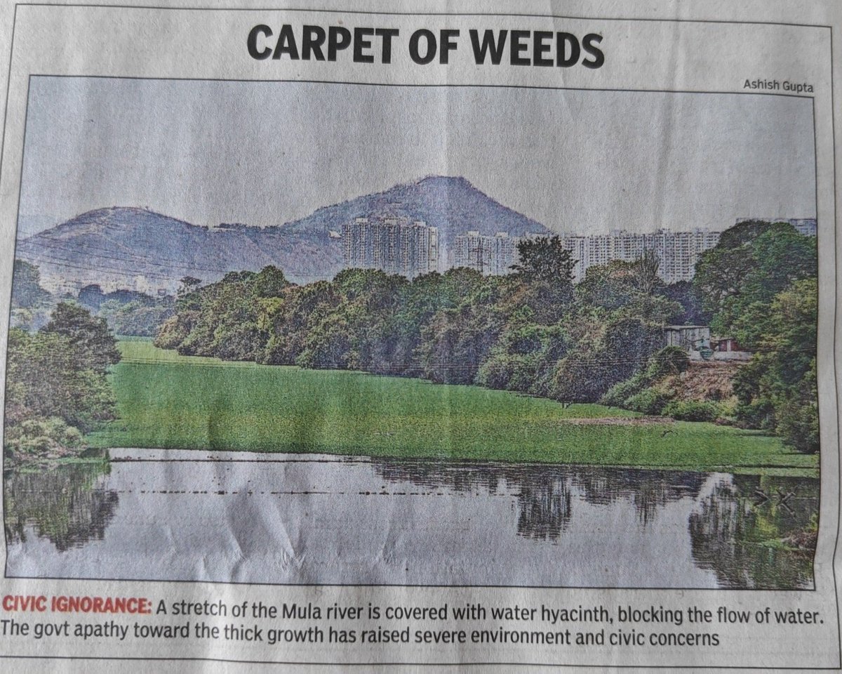 Salim Ali Bird Sanctuary Pune tweet media