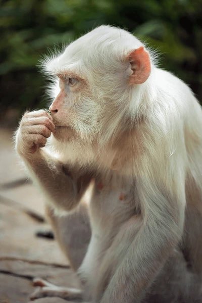 IJussCrushAlott tweet media