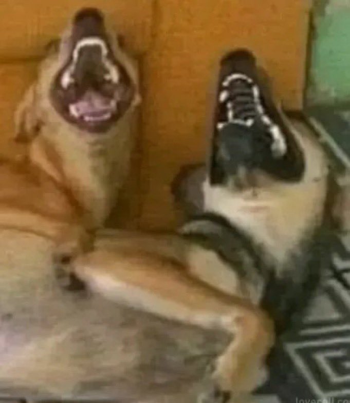 Mirachi 😎 tweet media