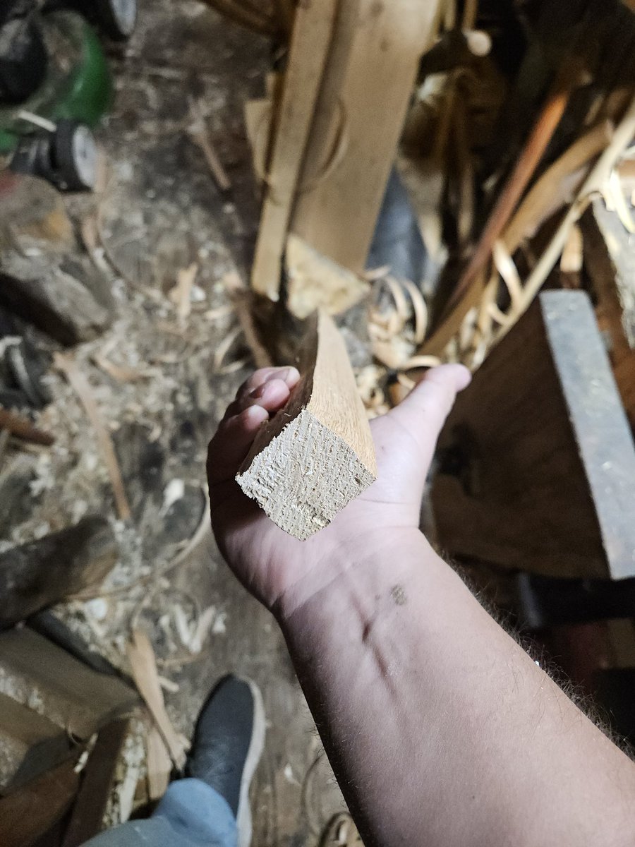 Spaghetti Joe tweet media