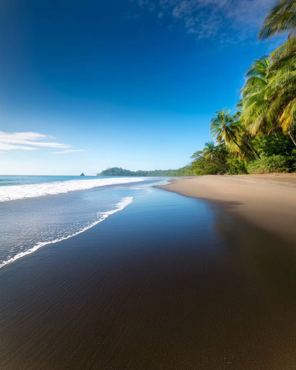 Walking Warrior tweet media