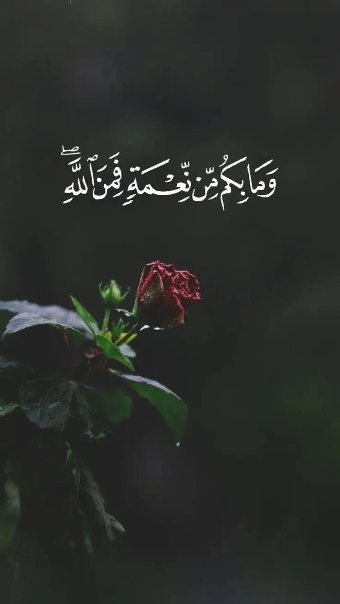 مُنى الهاشمية tweet media