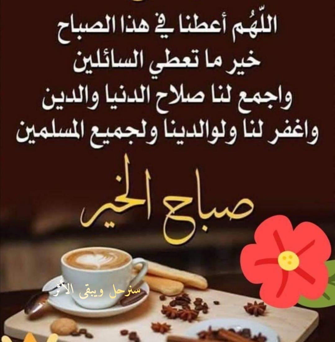 (♛زهرةالربيع♛) tweet media