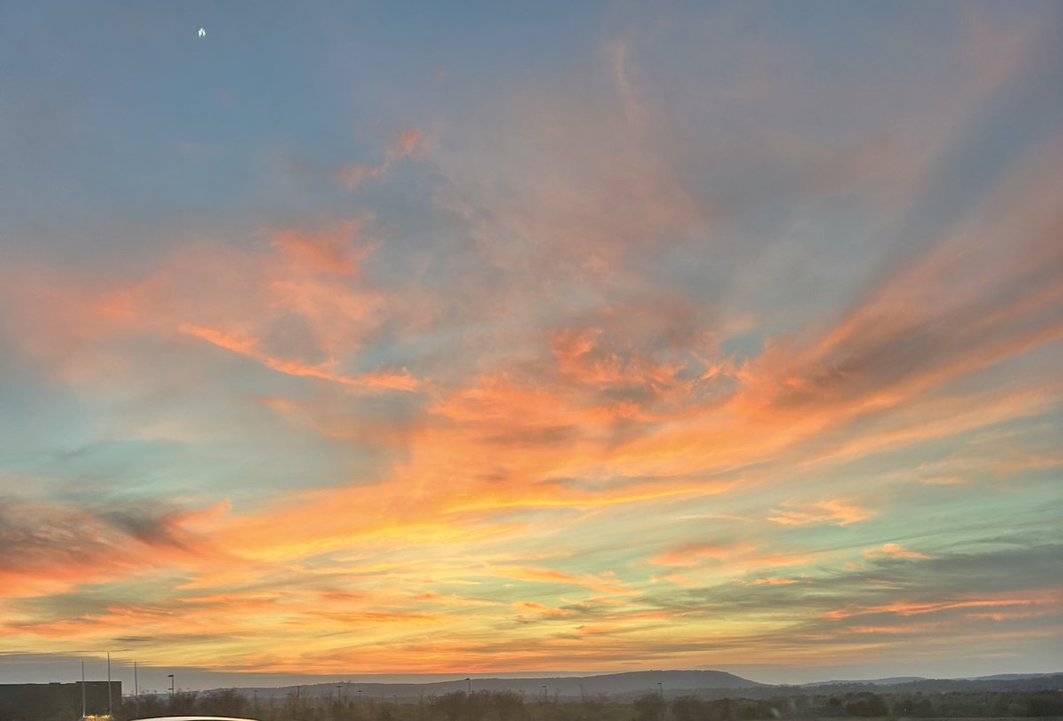 ✨Ali✨ tweet media