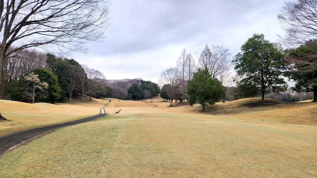 ミコ★miko★ゴルフ⛳ tweet media