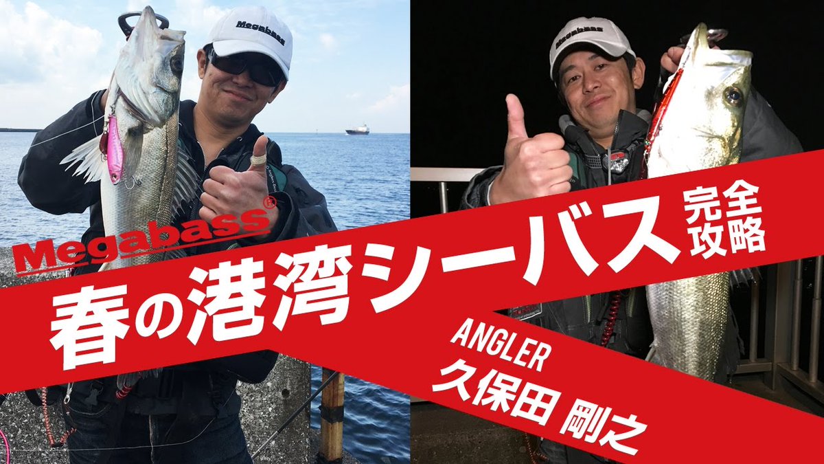 【公式】fisherman's mountain(fimo) tweet media