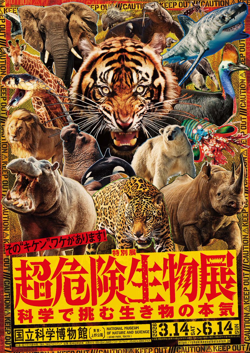 ✨🏛️開催中の展覧会情報🏛️✨ 🐯特別展「超危険生物展 科学で挑む