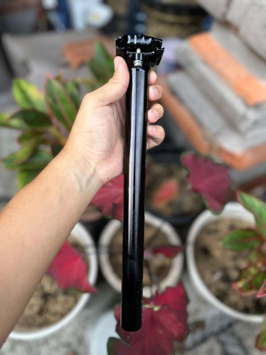 PESEPEDA CYCLIST tweet media