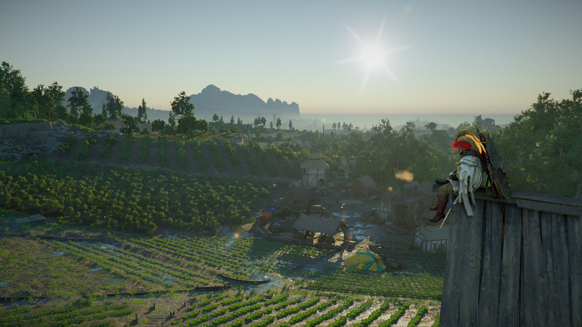 oFelipoca tweet media