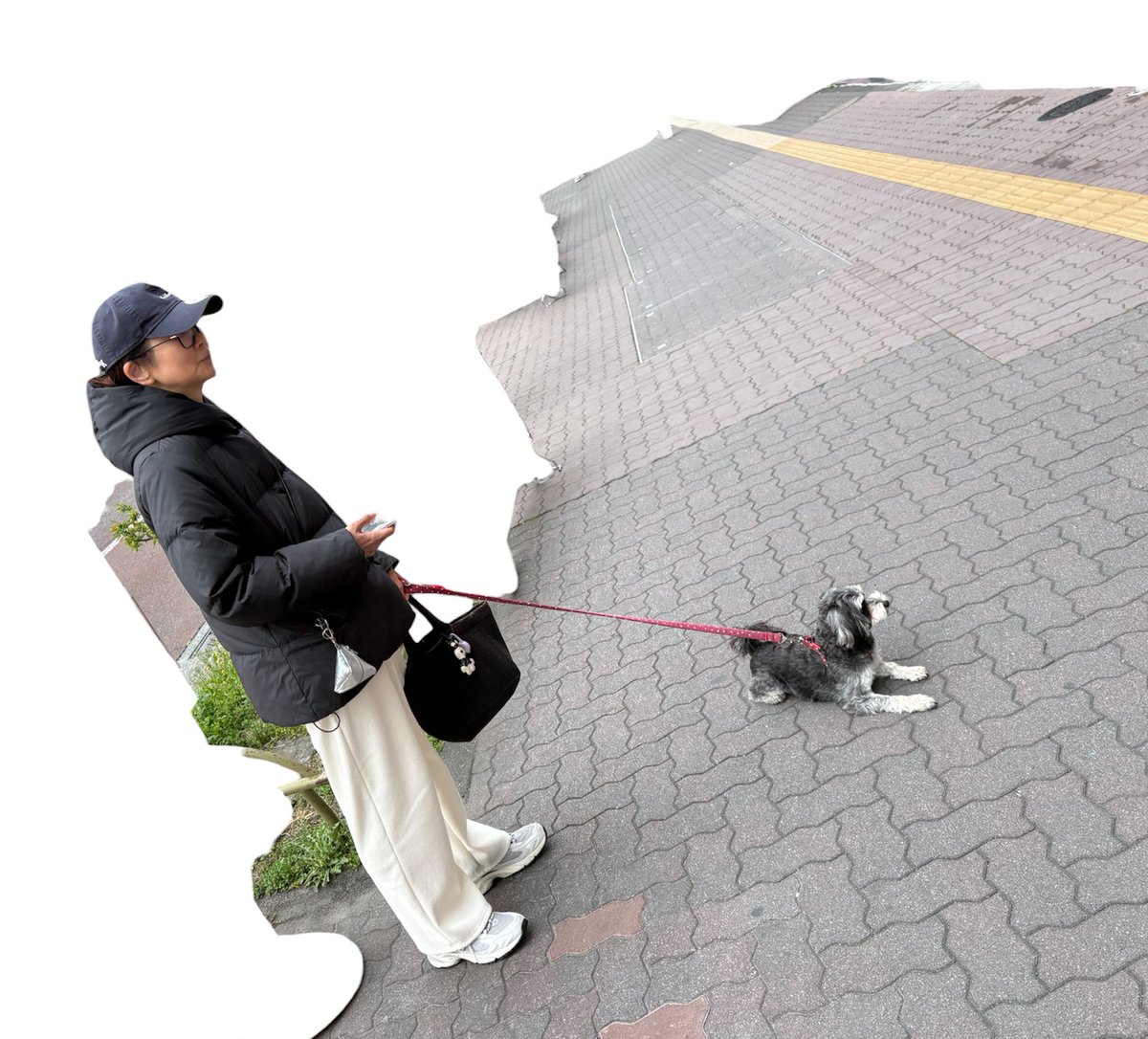 公道の概念がない飼い主に飼われたら蹴っ飛ばされても仕方ないね。犬は悪くないけどね。飼い主がバカだからね。