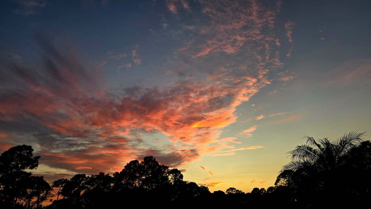 Ed Strayer tweet media