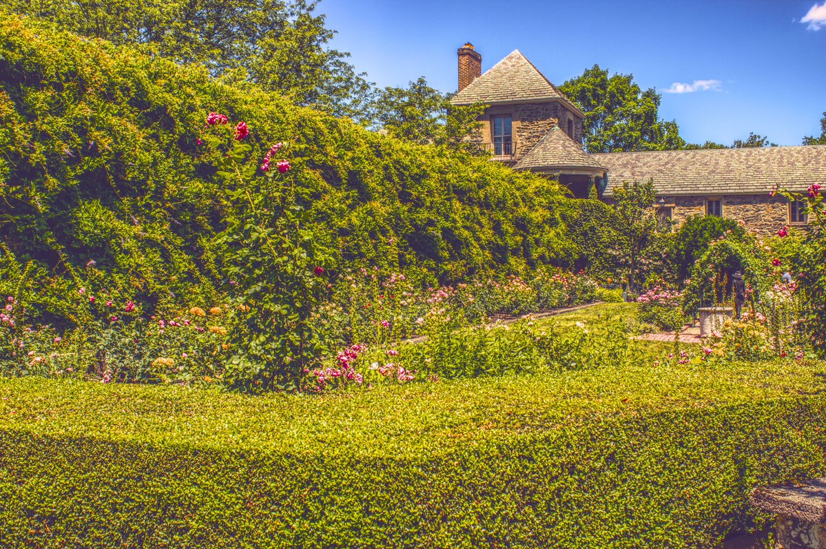 Matt Jude tweet media