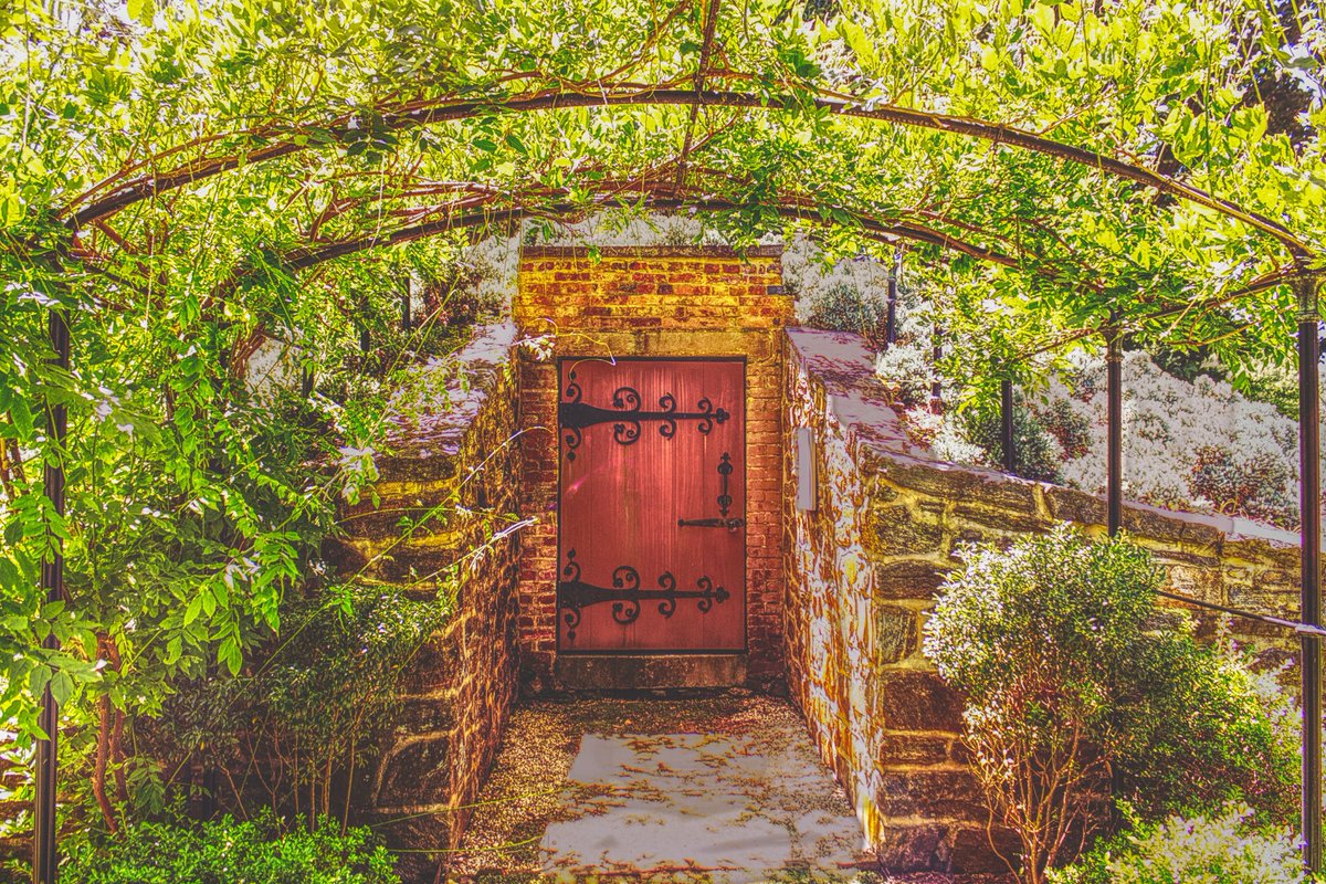 Matt Jude tweet media