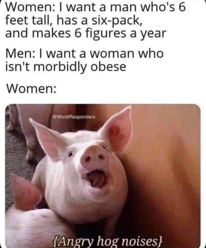 Bill Springer tweet media