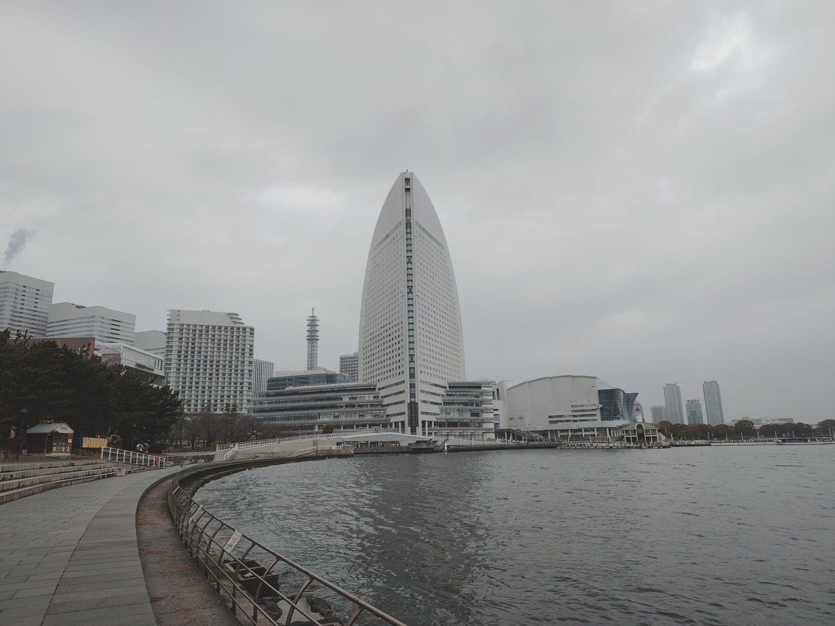 うずらの飼い主。 tweet media