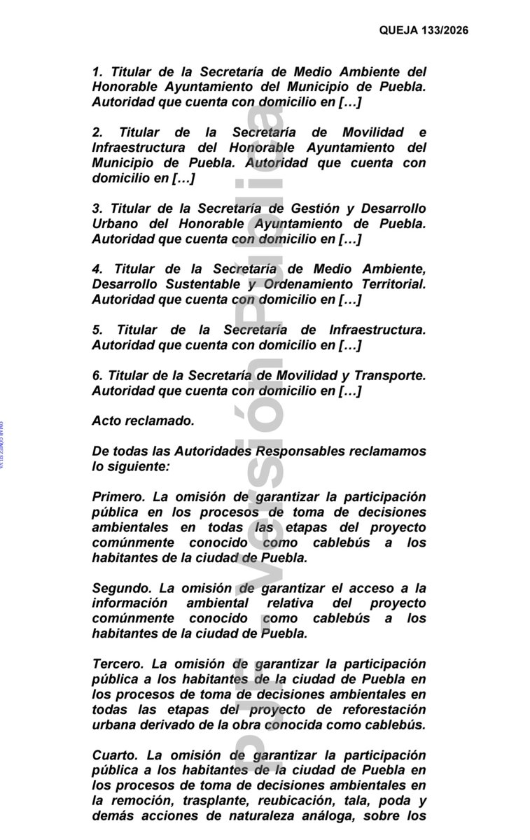 David Celestino tweet media