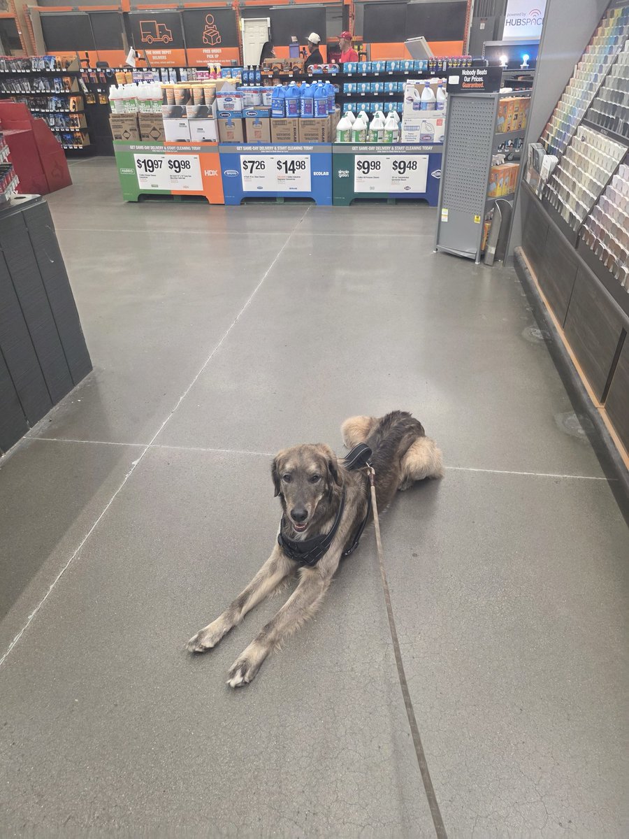 Chris Kelly tweet media