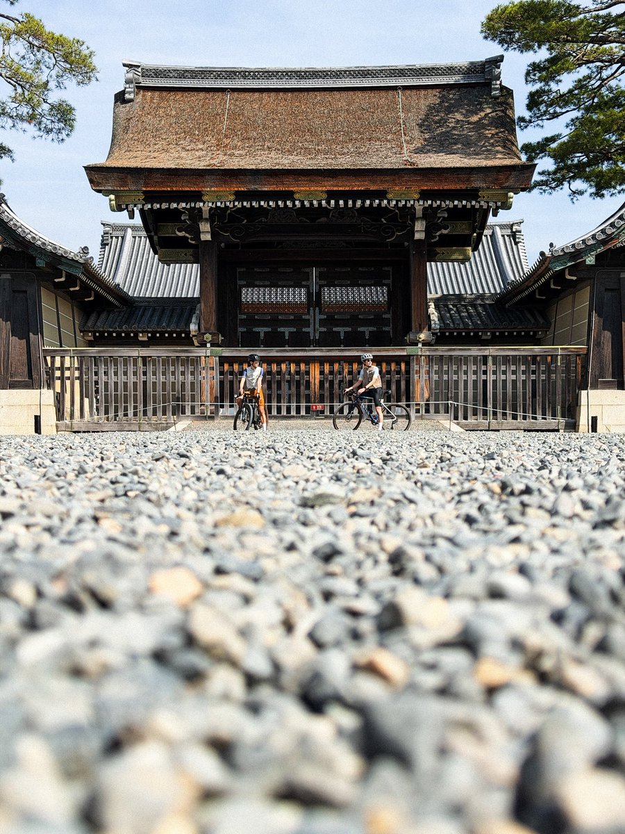 Kei Tsuji / 辻啓 tweet media