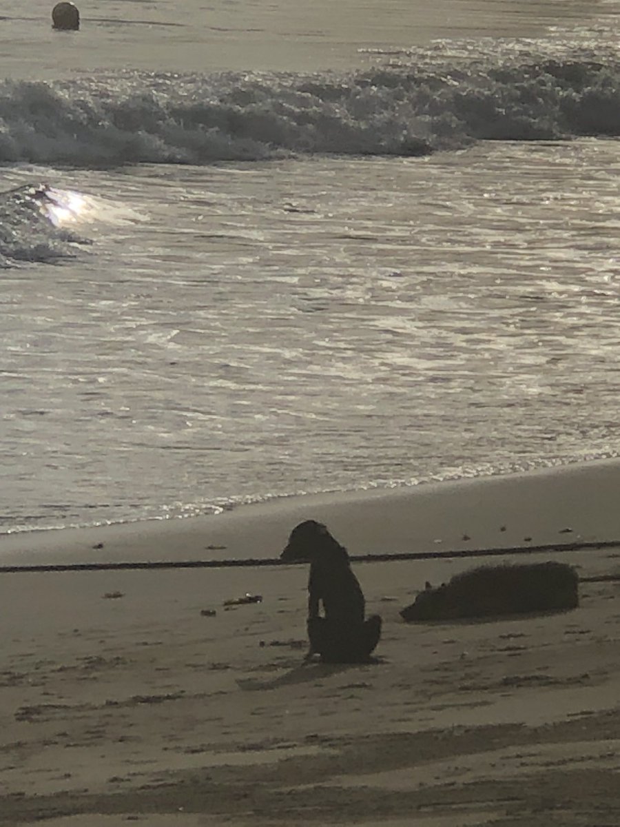 生徒会書記@🇵🇭勝手にブスアンガ島観光局 tweet media