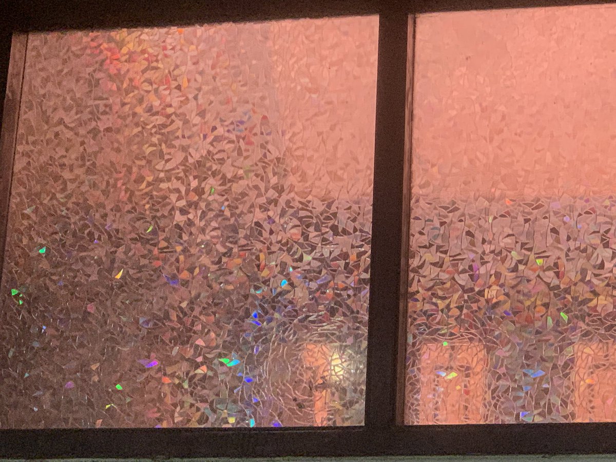 sherynade wilhem tweet media