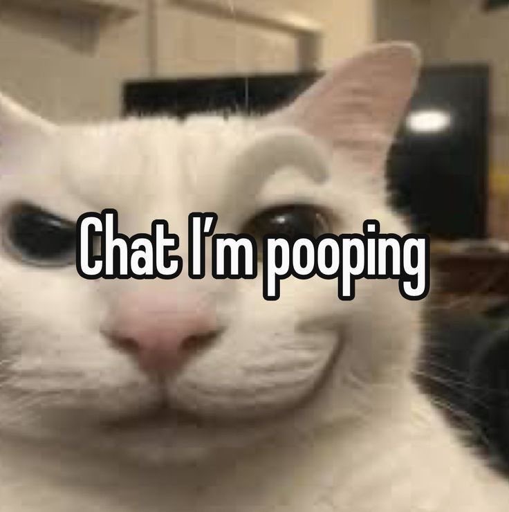 日車 αnto tweet media