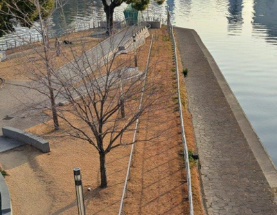 堂島川（中之島剣先付近）の老朽化した護岸を補修しています。
今年は工事中のためご迷惑をおかけしますが、来年の春は、川と桜をお楽しみください。
#都市整備の日 #大阪府 #春到来 #土木