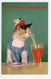 Jennifer Isle tweet media