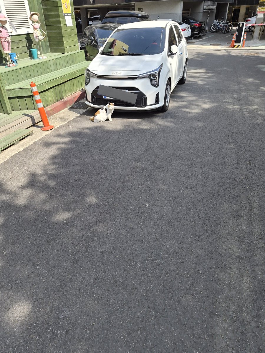 히비👻 tweet media