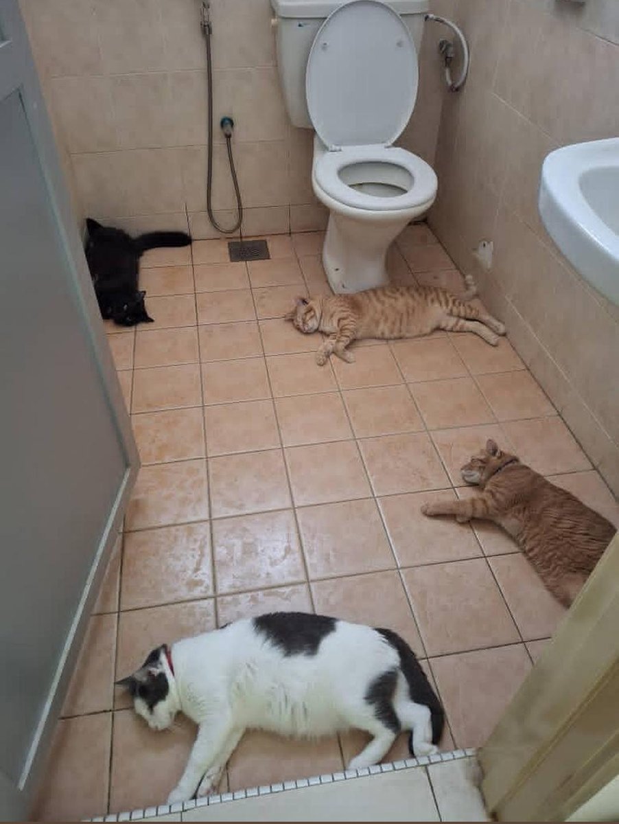 N E Y R A tweet media