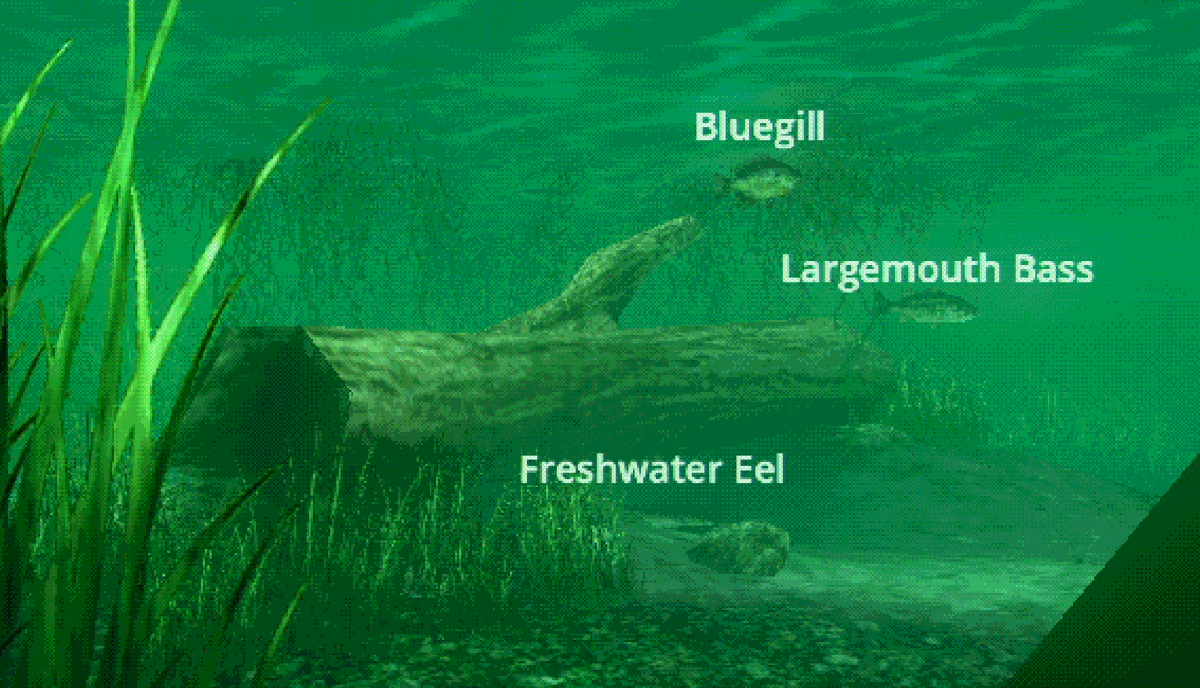 The Water Museum tweet media