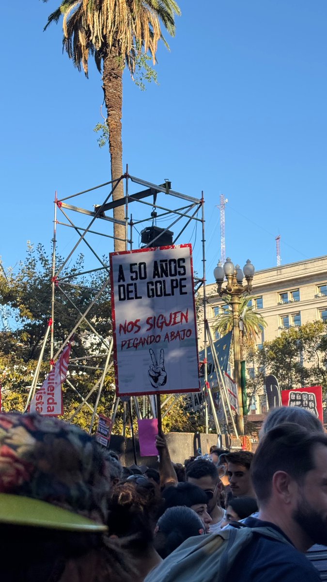 Alexia Panez tweet media