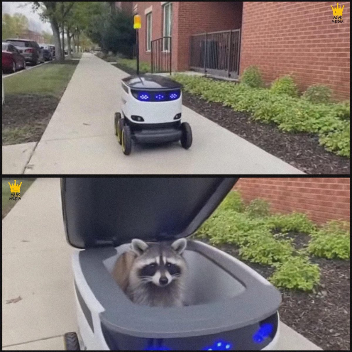 Mr PitBull tweet media