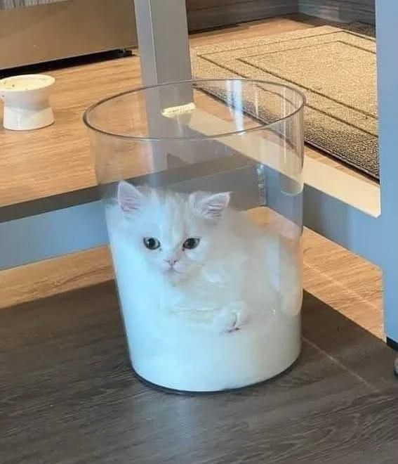 HabitTrade tweet media