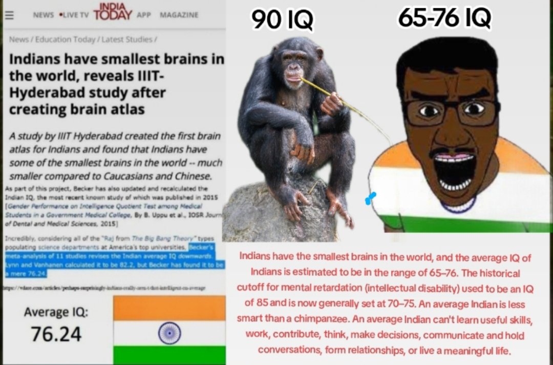 The Most Indian Things tweet media